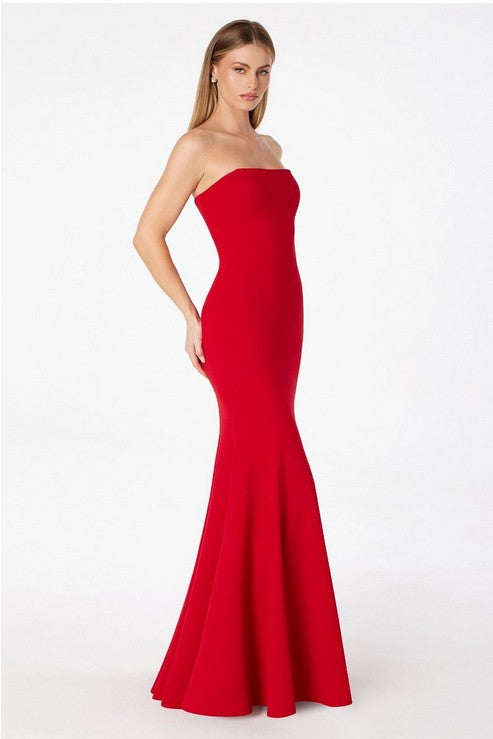 STRAPLESS MAXI GOWN WITH OPEN BACK TIE
